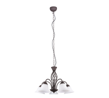 Suspension Rustica 5L 101000524