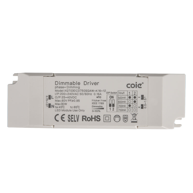 Driver Sunset Trial Dimmable 20W