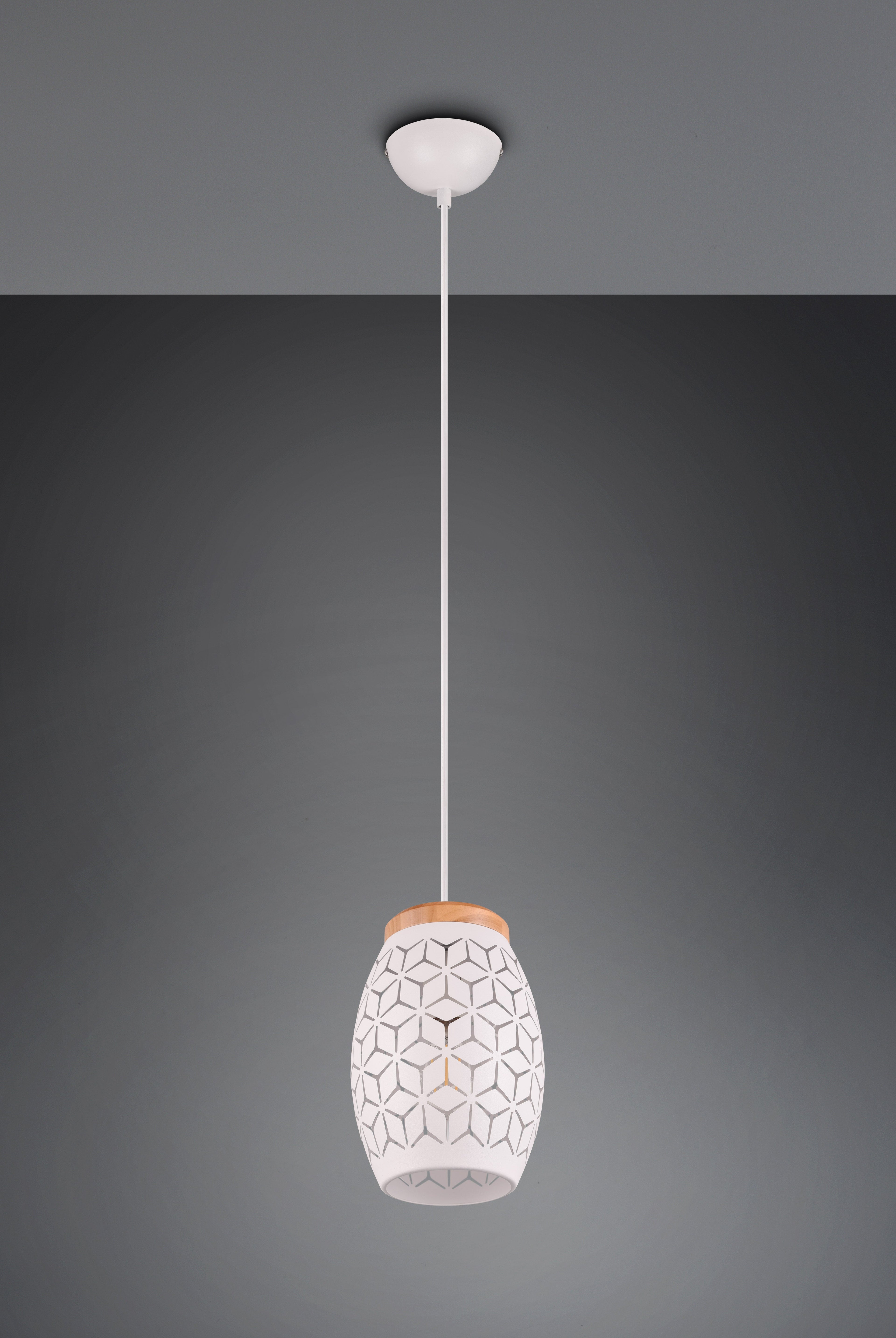 Suspension Bidar R31571031