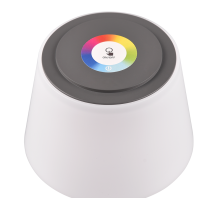 Lampe Sanchez anthracite R54126142