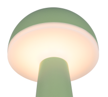 Lampe Fungo verte R57716149