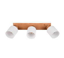 Réglette spot Assam R81113030