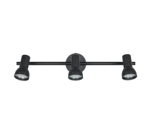 Spot Cantar noir 3L R81793032