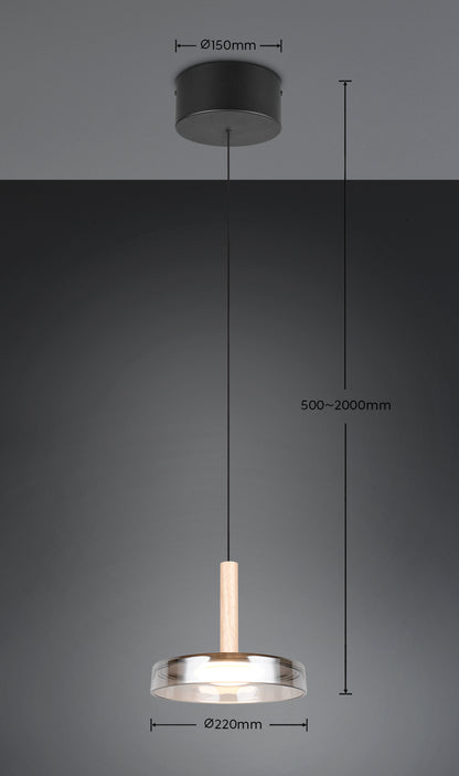 Suspension monte et baisse Celeste verre fumé Trio 354910132