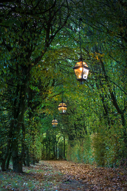 Lampadaire Place des Vosges 3 N°10 Patiné doré 009 149010009