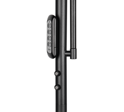 Lampadaire Palermo noir Trio R45741132