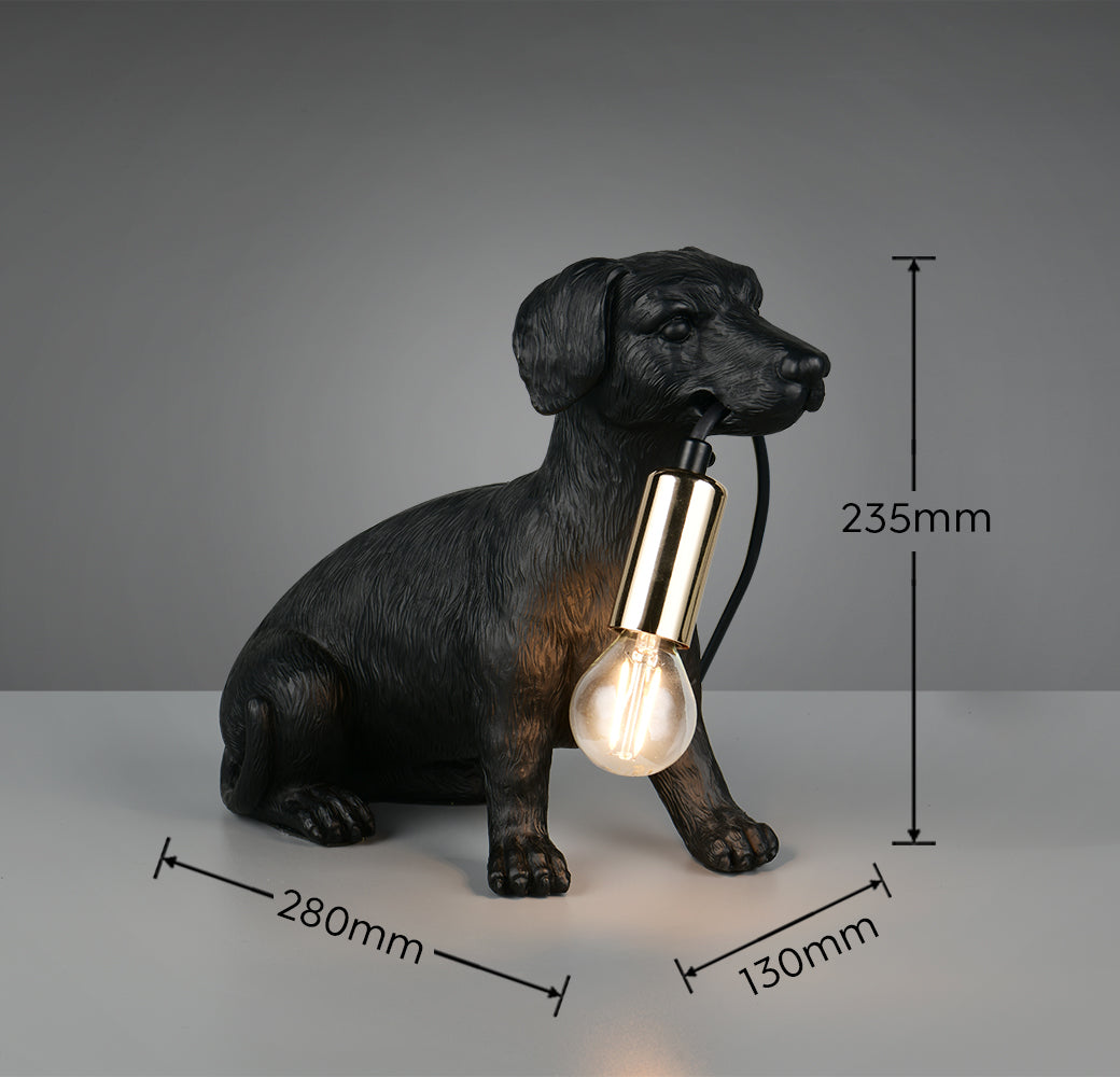 Lampe RUDI noir TRIO R56601002