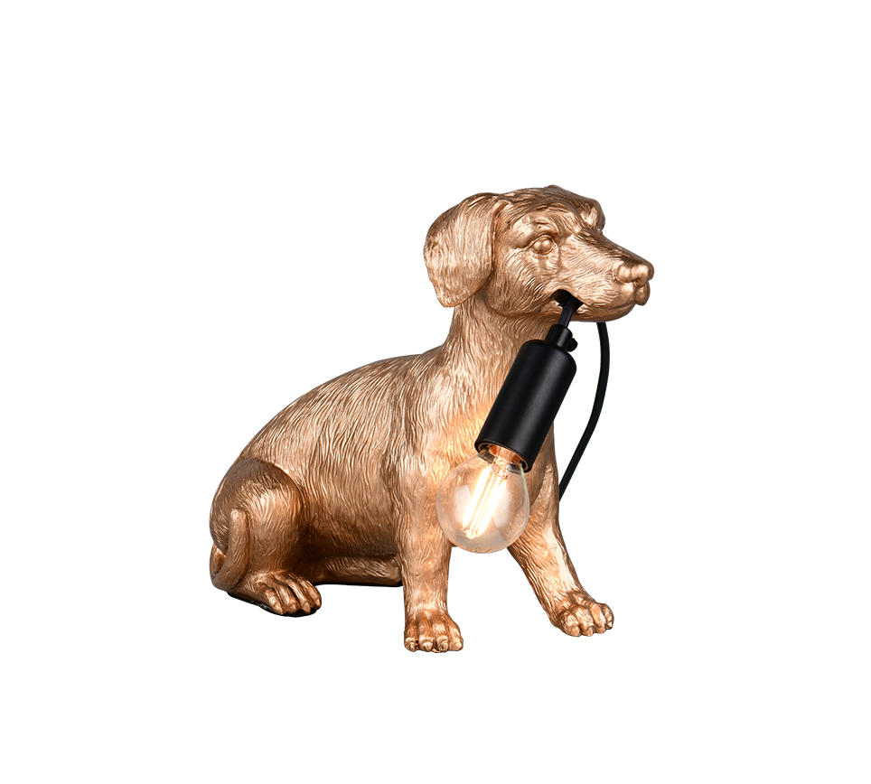 Lampe RUDI or TRIO R56601079