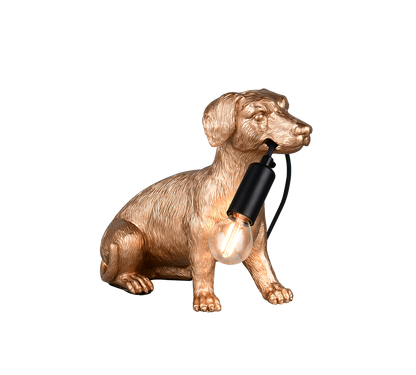 Lampe RUDI or TRIO R56601079