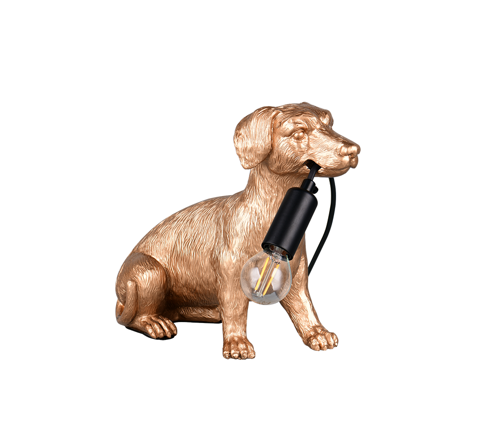 Lampe RUDI or TRIO R56601079