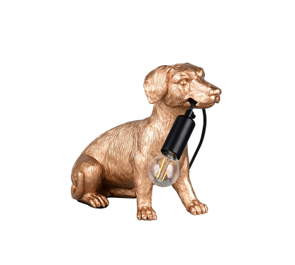 Lampe RUDI or TRIO R56601079