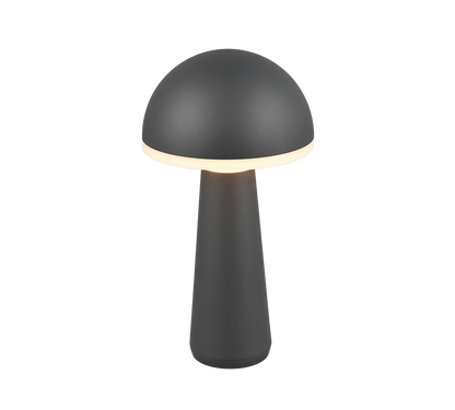 Lampe Fungo anthracite R57716142