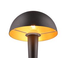 Lampe Canaria noir/or R59561180