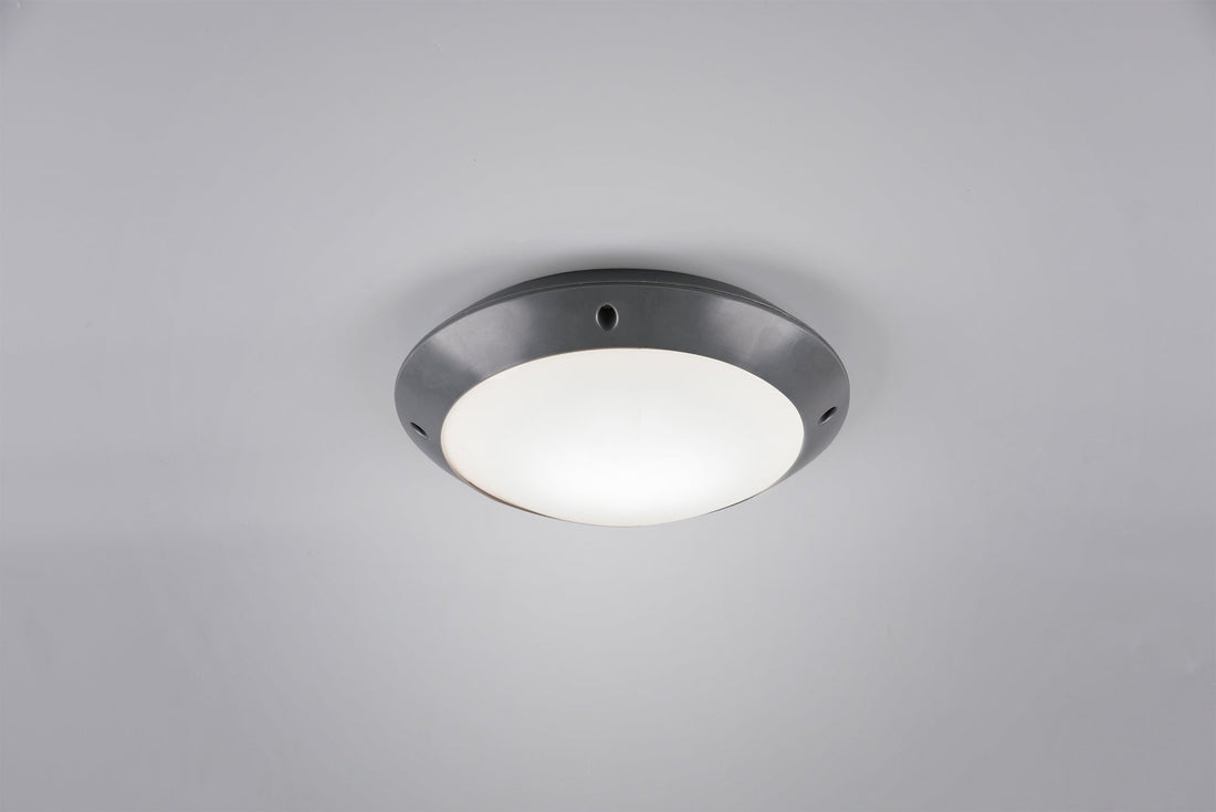 Plafonnier Camaro anthracite pm R60501042