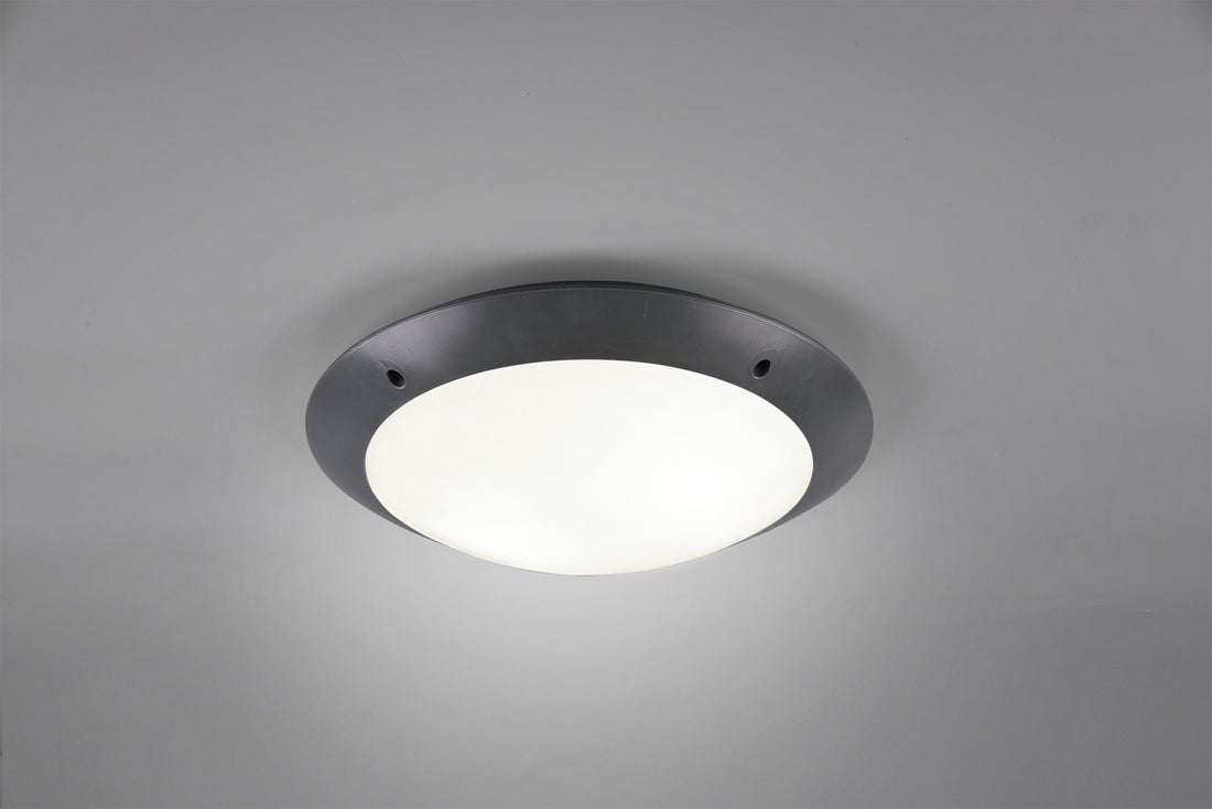 Plafonnier Camaro anthracite gm R60502042