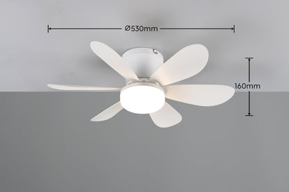 Plafonnier ventilateur LUND blanc TRIO R67462131