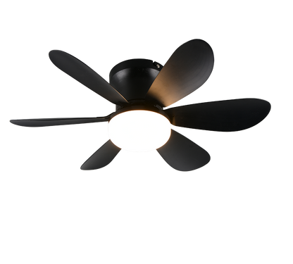 Plafonnier ventilateur LUND noir TRIO R67462132
