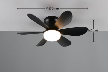 Plafonnier ventilateur LUND noir TRIO R67462132