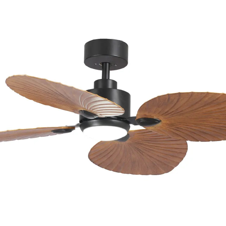 Plafonnier ventilateur KONGO LOVA 55120