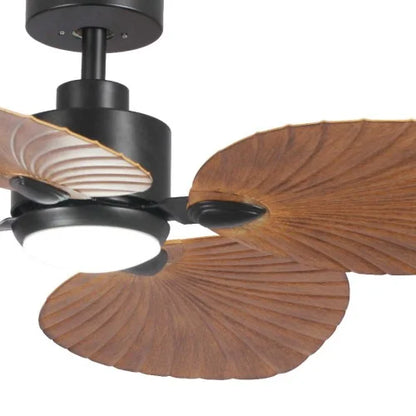 Plafonnier ventilateur KONGO LOVA 55120