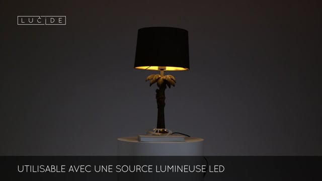 Lampe COCONUT noir LUCIDE 10505/81/30