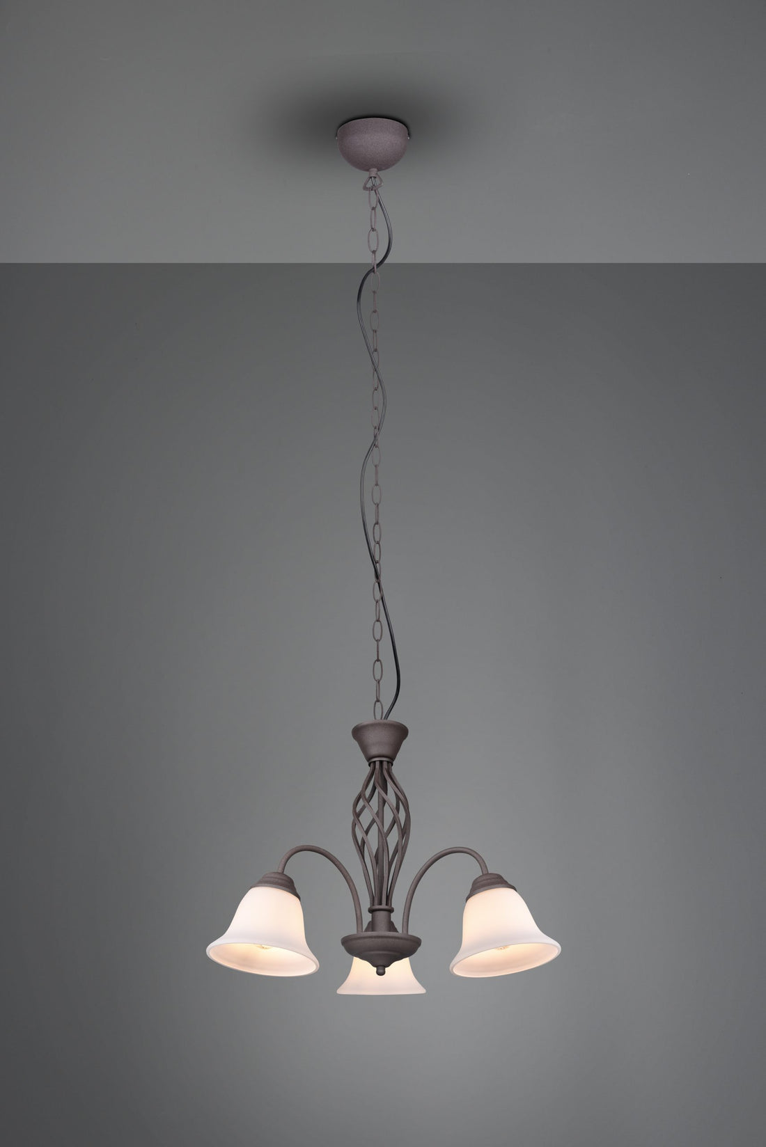 Suspension Rustica 3L 101000324